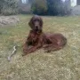 Kimi genießt den Frühling 2012