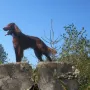 Kiron im Herbst 2011.