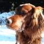 Xeriva im Winter 2012