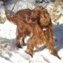 Der Schnee ist einfach toll...))
