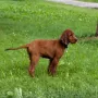 Den Garten hat sie schon im Griff.