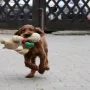 Und spielt sehr gerne.