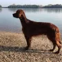 Lord Yanni und das Wasser, er liebt es