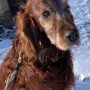 Lord Yanni bald 13 Jahre