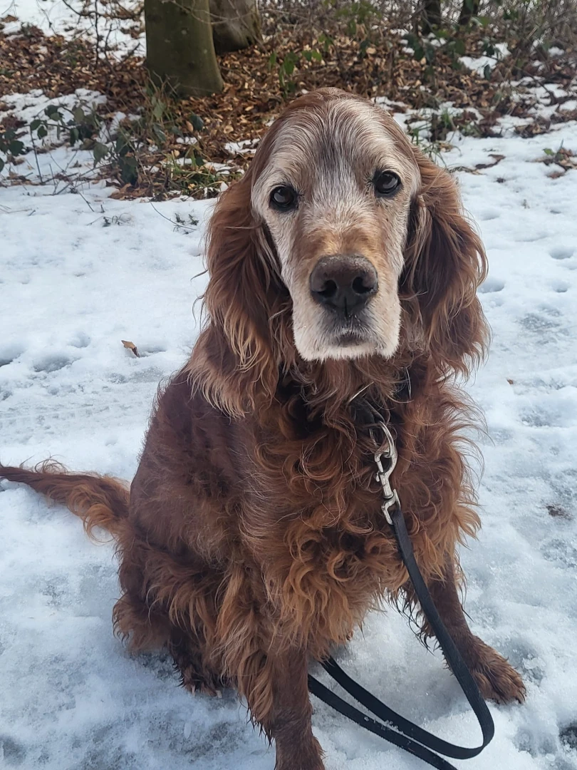 Lenzi 14 Jahre und 10 Monate