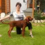 Und träumt davon ein Star zu werden.