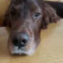 Um die Nase werden wir schon ein bisschen grau.....