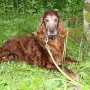 Lennox war im Mai 13 Jahre