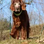 Lennox fast 14 Jahre