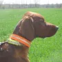My Lord ModderRhu kurz vor dem Start zur Jugendsuche 2012