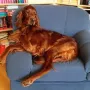 Auch ich hab mal eine Pause verdient..