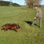 Training find ich toll.