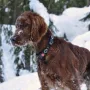 Auch Milou Phelan liebt den Schnee