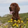 Milou Phelan im Urlaub im Sommer 2012