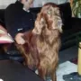 Milou Phelan, ein Prachtkerl