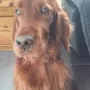....!!!!  