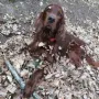Milou Phelan immer voller Tatendrang