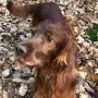 Milou Phelan mit 8,5 Jahren