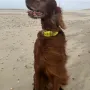 Im Urlaub in Texel