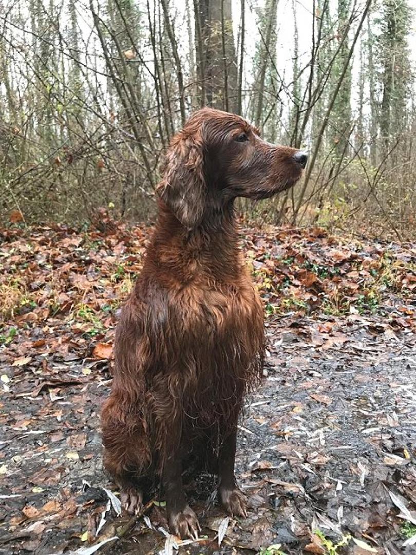 MyLittle Winny im Regen Dezember 2019