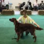 MyLittle Winny an der CAC Oberderdingen 2017