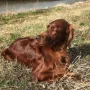 MaLittle Winny genießt den Frühling 2017