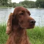 MyLittle Winny im Mai 2017