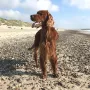 MyLittle Winny im Hochsommer 2019