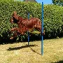 Agility macht mit knapp 10 Jahren noch Spaß