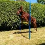 Auch mit knappen 10 funktioniert der Sprung