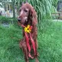 Xandria an ihrem 10. Geburtstag