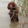 Xandria, mit 10 Jahren immer noch wasserbegeistert.
