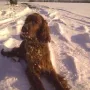 Marla und ler letzte Schnee 2013.