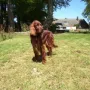 Marla, toll bist du kleine Dame 