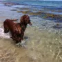 Mira an der Ostsee im Urlaub im Mai 2012.