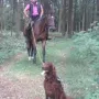 Nepomuk, ein treuer Begleiter