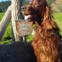 Nepomuk mit 8,5 Jahren