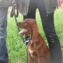 Natan ist zu Leonie Ceschi nach 83539 Pfaffing gezogen.