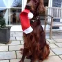 Zu Weihnachten 2013
