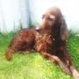 Xantia knapp 10 Jahre