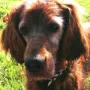 super schaut unsere Seniorin aus