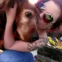 Xantia gut 13 Jahre alt