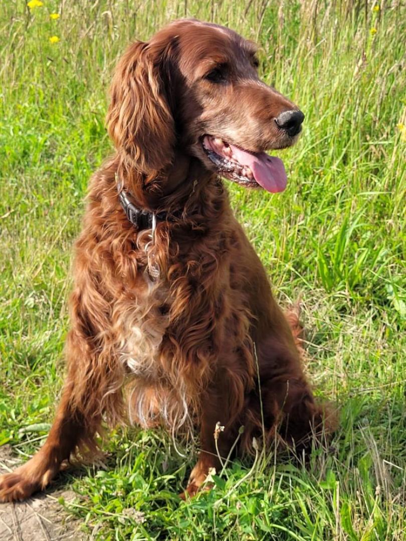 Nana 12 Jahre 