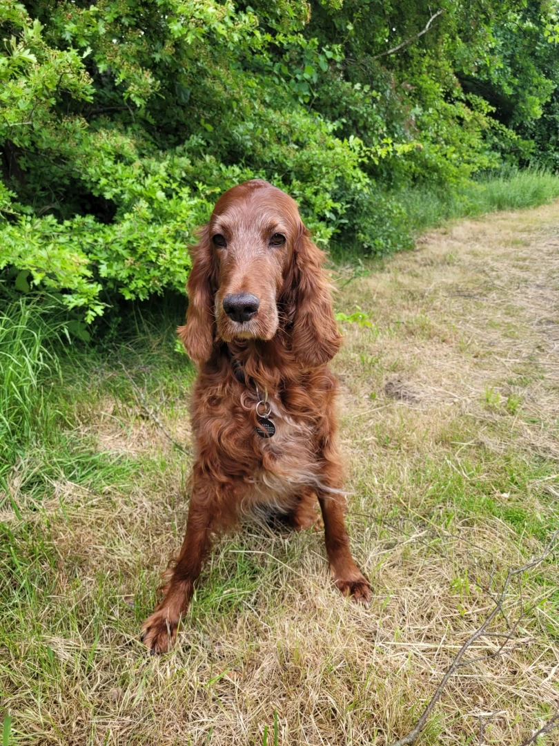 Nana 13 Jahre