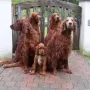 Abschied aus Aurach von Nana...........