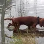 Nana liebt auch das Wasser.