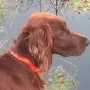Nana kurz vor dem Jahreswechsel 2014/2015
