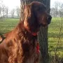 Nana, wo ist der Frühling??