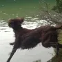 Nana die Wasserratte