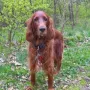Nana 5 Jahre alt